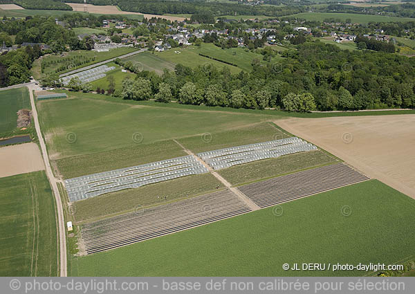 agriculture - Hesbaye